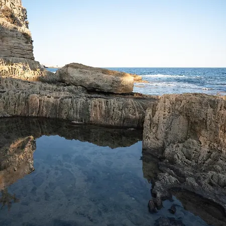 Casa Orchidea D'oro 度假居